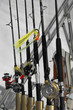 saltwater sport fishing
