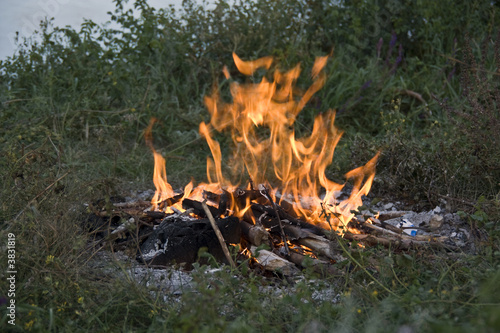 Tongues of flame Tongues of flame