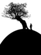 Tree on Hill 3