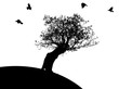 Tree on Hill 5