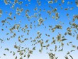 money,money