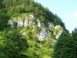 wooded rock