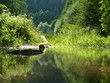 river in valley