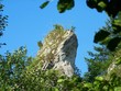 limestone rock with grass