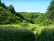 path in the valley