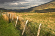 Posts 2 - Snowdonia Posts 2 - Snowdonia