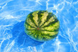 Fresh water-melon in water