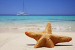 Quadro Estrella de Mar en la Playa
