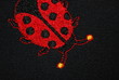 Lucky Ladybug Lucky Ladybug
