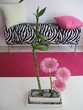 déco rose déco rose