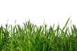 Gras Gras