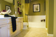 Modern tastefully decorated bathroom