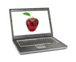 laptop computer