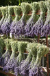 Fête et marché de la lavande en Provence