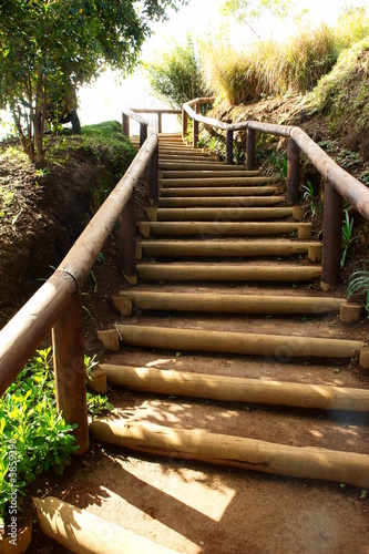 Photo : escalier nature, marche en terre et bois escalier nature, marche en terre et bois
