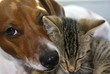 cuddle1-rb cuddle1-rb