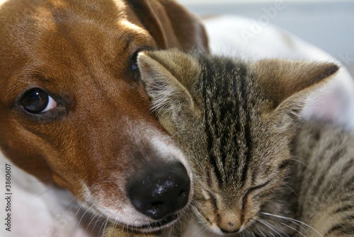 cuddle1-rb