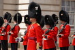 Welsh Guards