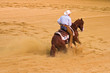cowboy
