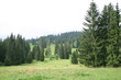 2007-07-21 Les Fourgs 027 2007-07-21 Les Fourgs 027