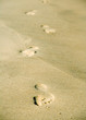 foot prints on the sand