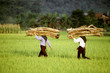 Découverte du Vietnam