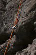 Security caribiners. Climbing gear of a climber
