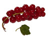 UNEGRAPPE DE GROSEILLES
