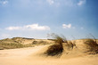 dunes, nida, lithuania dunes, nida, lithuania