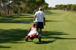 Golfer