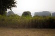 landschaft