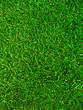 terrain de sport