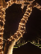 Christmas Lights