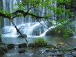 Photos : Wasserfall