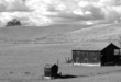 A B&W view of a lone barn and shed on a California hillside