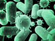 virus and bacteria