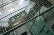 prision-4130