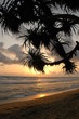 Anochecer en Sri-Lanka