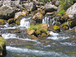 Source près de Corps (Isère)