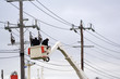 Workers in cherry picker