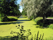 Green Channel 