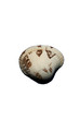 coquillage
