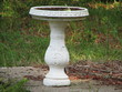 Birdbath