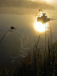 Fisherman rows off into the sunset