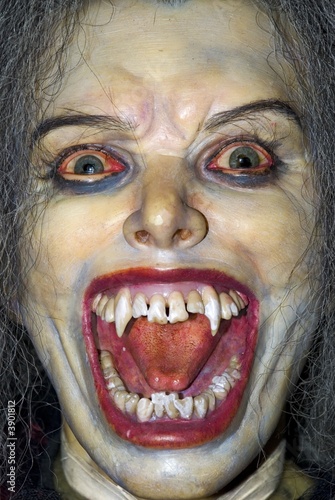 Photo: The face of the vampire. The face of the vampire.