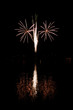 firework - snake eyes