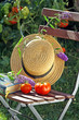 le chapeau