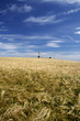 Flodden battlefield 