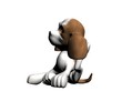 Dog Dog