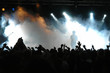 Cheering crowd at concert, musicians on the stage